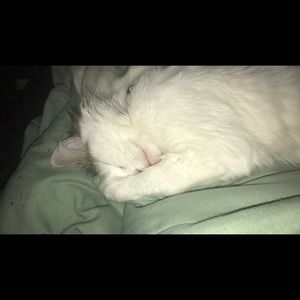 Meet your Posher, Lori